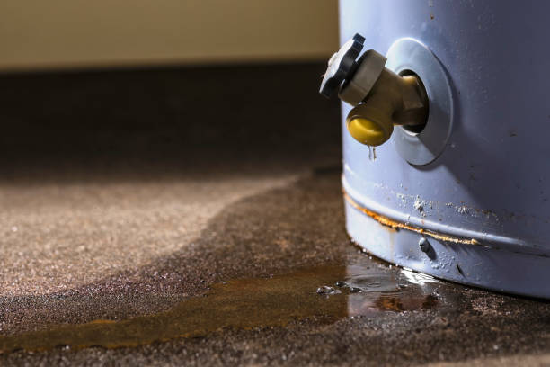 Best Mold removal after water damage  in Mount Repose, OH