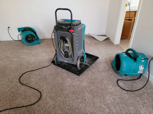 Best Sewage cleanup and water damage restoration  in Mount Repose, OH