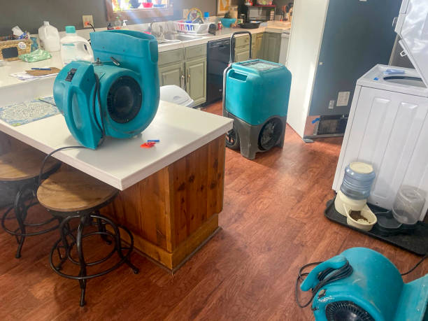 Best 24-hour water damage restoration  in Mount Repose, OH