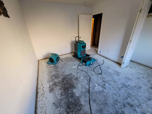 Best Emergency water damage restoration  in Mount Repose, OH