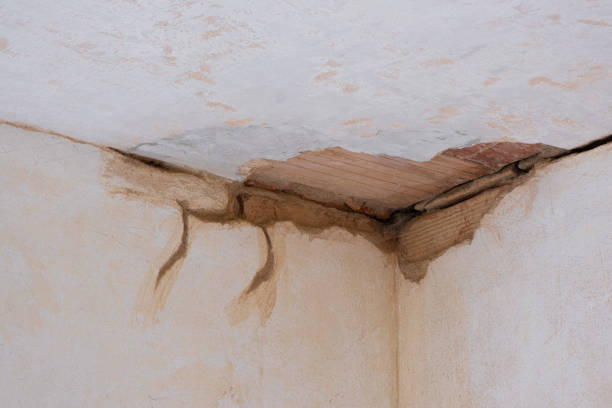 Best Ceiling water damage repair  in Mount Repose, OH