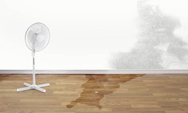 Best 24/7 water damage repair  in Mount Repose, OH