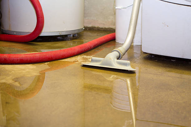 Best Water damage repair service  in Mount Repose, OH