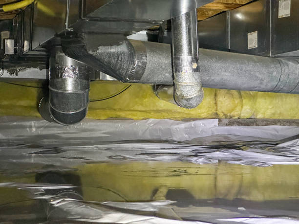Best Water damage contractors near me  in Mount Repose, OH