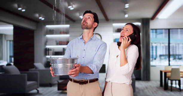 Best Professional water damage repair  in Mount Repose, OH