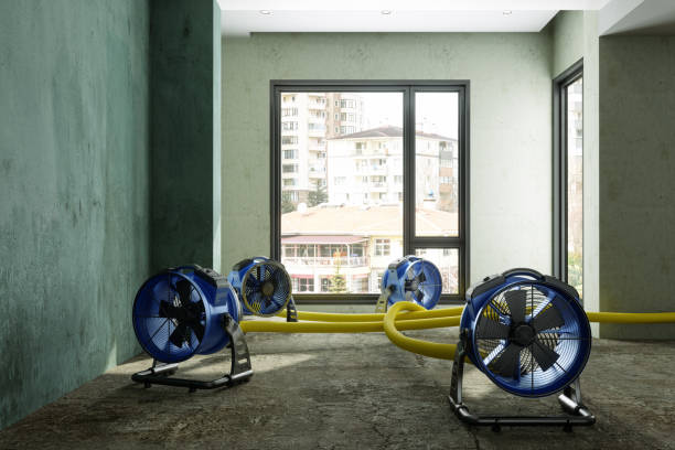 Best Residential water damage restoration  in Mount Repose, OH