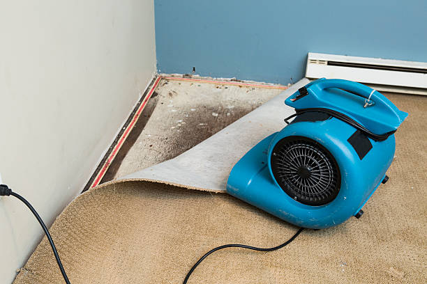 Best Flooded house restoration  in Mount Repose, OH